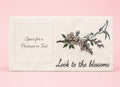 Look To The Blossoms